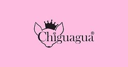 CHIGUAGUA